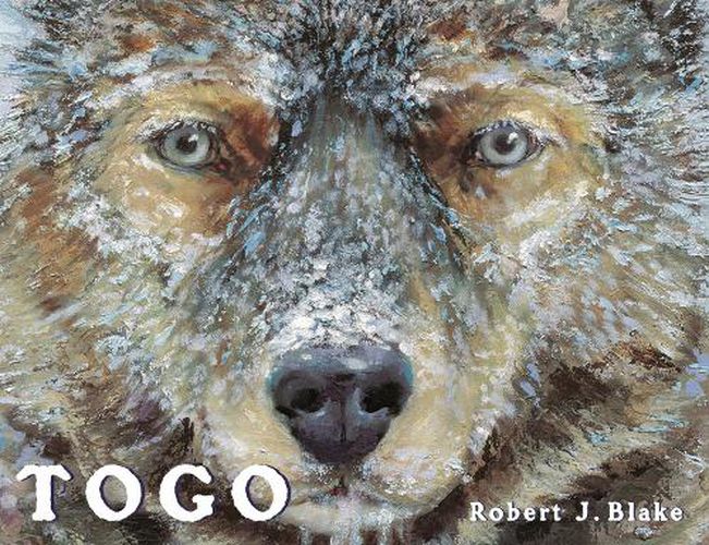 Cover image for Uc Togo