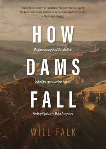 Cover image for How Dams Fall