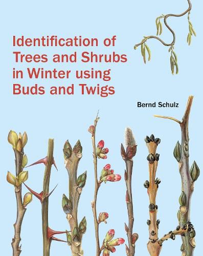 Cover image for Identification of Trees and Shrubs in Winter Using Buds and Twigs
