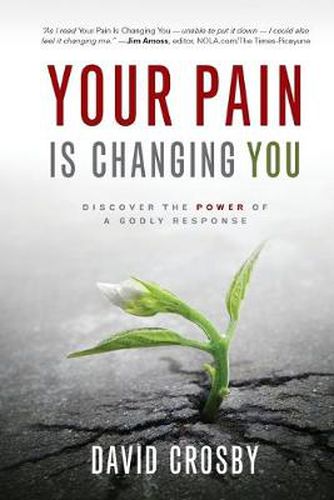 Cover image for Your Pain is Changing You: Discover the Power of a Godly Response