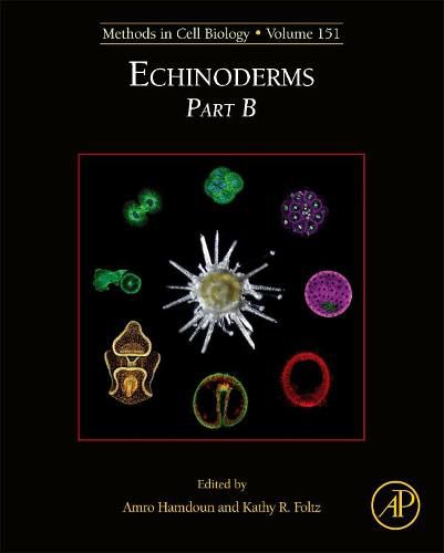 Cover image for Echinoderms Part B