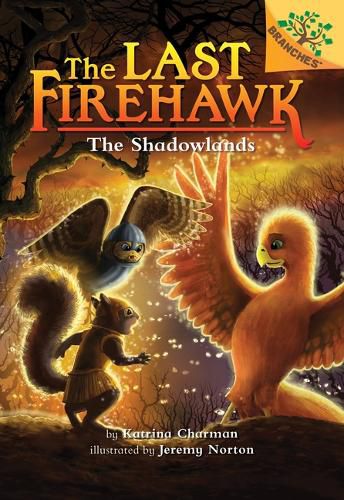 The Shadowlands: A Branches Book (the Last Firehawk #5) (Library Edition): Volume 5