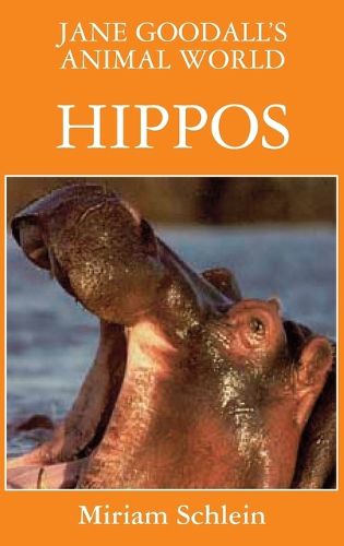 Cover image for Jane Goodall's Animal World Hippos