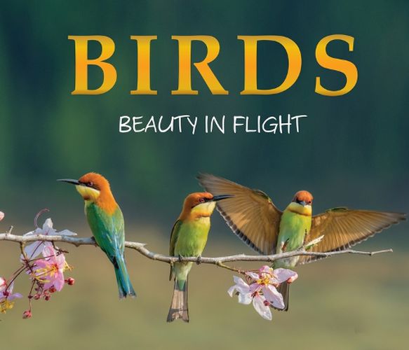 Cover image for Birds