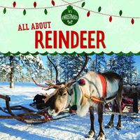 Cover image for All about Reindeer