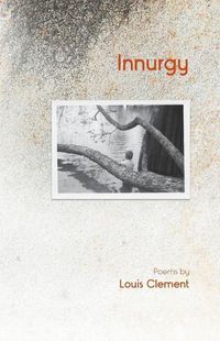 Cover image for Innurgy