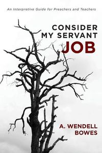 Cover image for Consider My Servant Job: An Interpretive Guide for Preachers and Teachers