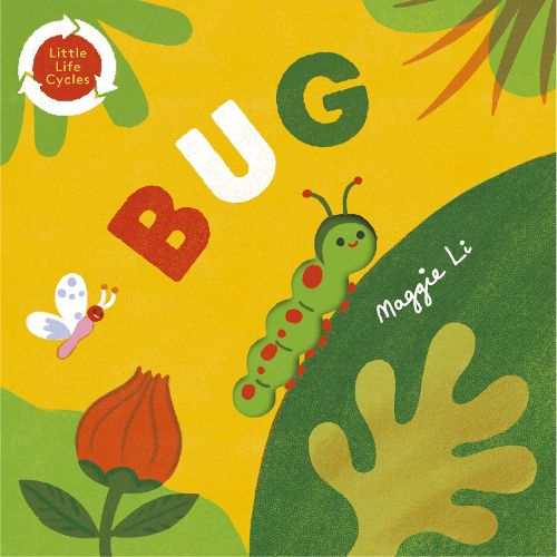 Cover image for Little Life Cycles: Bug