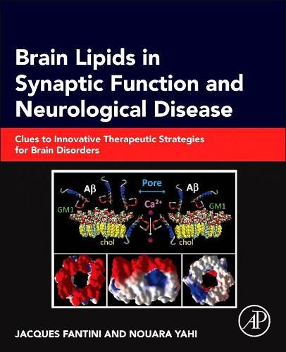 Cover image for Brain Lipids in Synaptic Function and Neurological Disease: Clues to Innovative Therapeutic Strategies for Brain Disorders