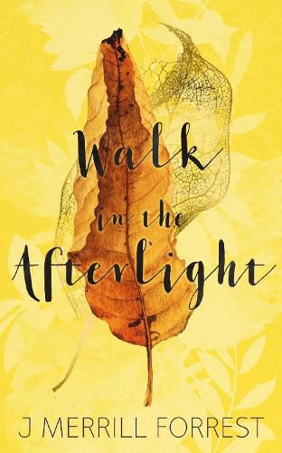 Cover image for Walk in the Afterlight