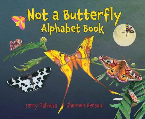 Cover image for Not a Butterfly Alphabet Book