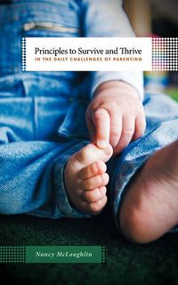 Cover image for Principles to Survive and Thrive in the Daily Challenges of Parenting