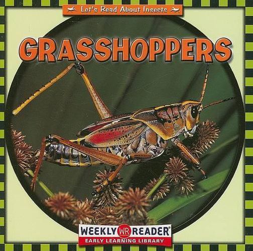 Grasshoppers