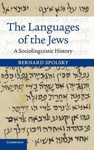 Cover image for The Languages of the Jews: A Sociolinguistic History