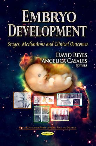 Embryo Development: Stages, Mechanisms & Clinical Outcomes