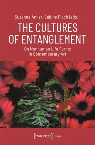 Cover image for The Cultures of Entanglement