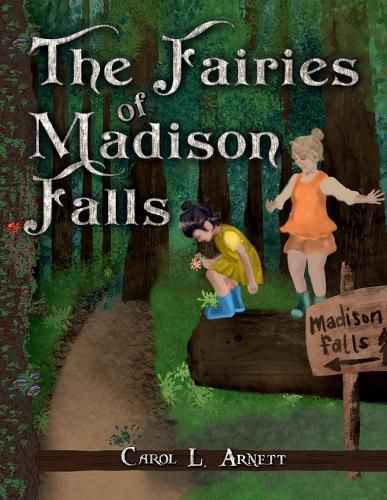 Cover image for The Fairies of Madison Falls