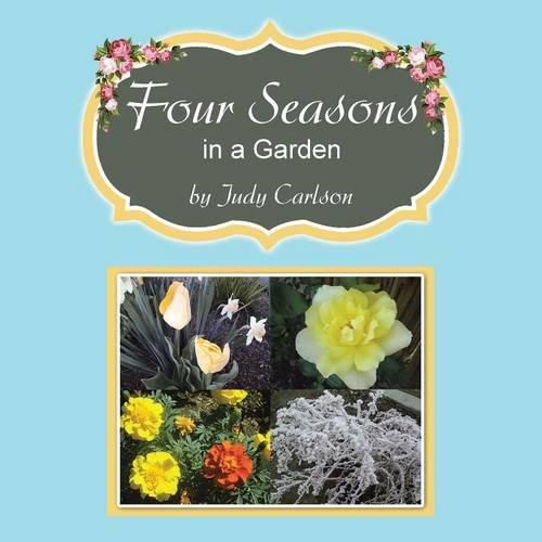 Cover image for Four Seasons in a Garden