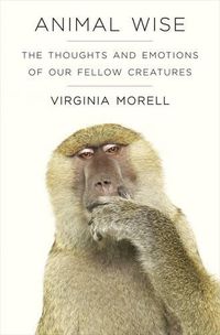 Cover image for Animal Wise: The Thoughts and Emotions of Animals