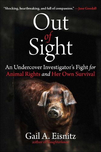 Cover image for Out of Sight