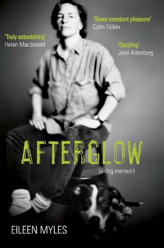 Cover image for Afterglow: A Dog Memoir