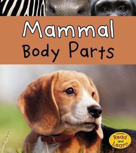 Cover image for Mammal Body Parts (Animal Body Parts)