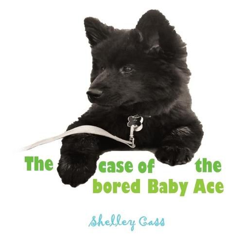 The Case of the Bored Baby Ace: Book Two in the Sleep Sweet Series