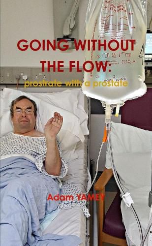 Cover image for Going Without the Flow: Prostrate with a Prostate