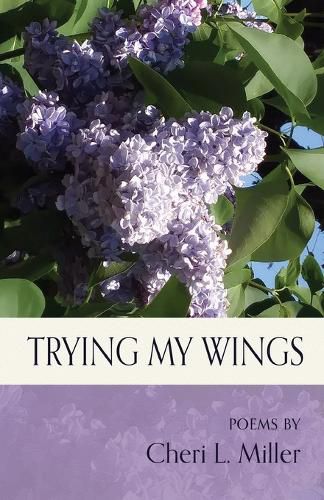 Cover image for Trying my Wings