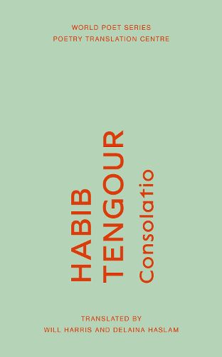 Cover image for Consolatio