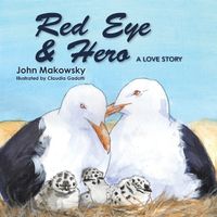 Cover image for Red Eye and Hero