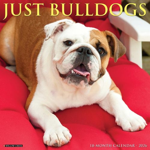 Cover image for Bulldogs 2026 Wall Calendar
