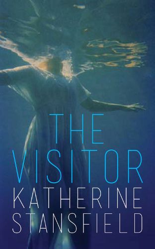 Cover image for The Visitor