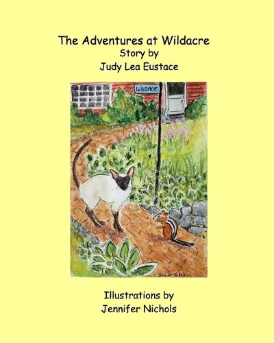 Cover image for The Adventures at Wildacre
