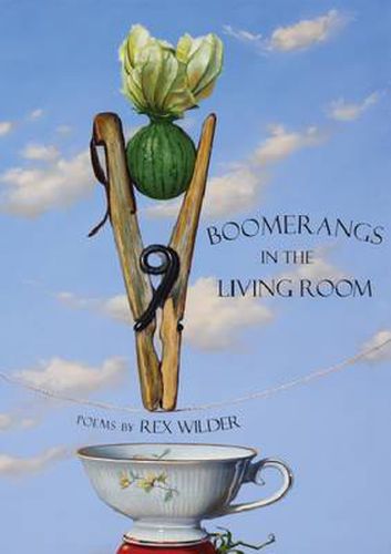 Cover image for Boomerangs in the Living Room