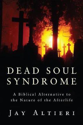 Cover image for Dead Soul Syndrome: A Biblical Alternative to the Nature of the Afterlife