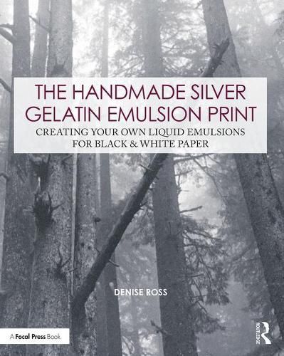 Cover image for The Handmade Silver Gelatin Emulsion Print: Creating Your Own Liquid Emulsions for Black & White Paper