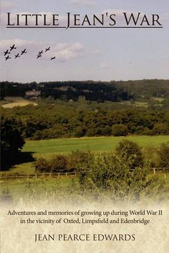 Cover image for Little Jean's War