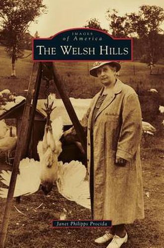 Cover image for Welsh Hills