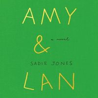 Cover image for Amy & LAN