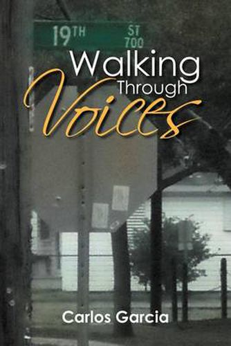 Cover image for Walking Through Voices