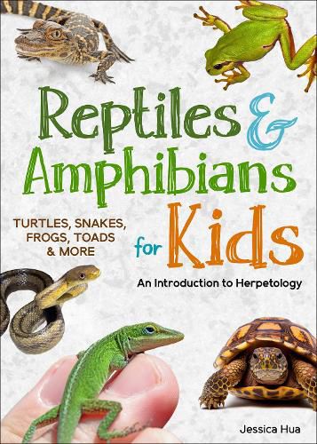 Cover image for Reptiles & Amphibians for Kids