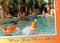 Cover image for Wish You Were Here: Classic Florida Motel and Restaurant Advertising