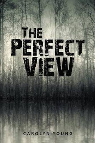 Cover image for The Perfect View