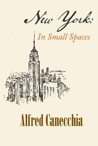 Cover image for New York: In Small Spaces