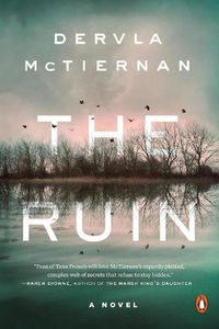 Cover image for The Ruin: A Novel