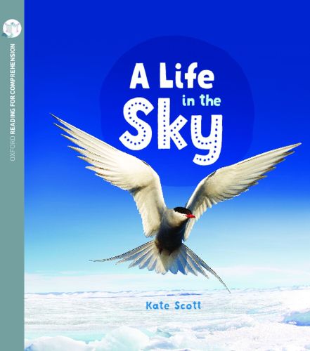 Cover image for A Life in the Sky: Oxford Level 10: Pack of 6