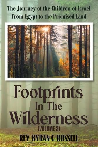 Cover image for Footprints in the Wilderness (Volume 3)