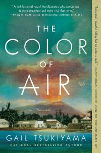 Cover image for The Color of Air: A Novel