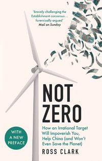 Cover image for Not Zero
